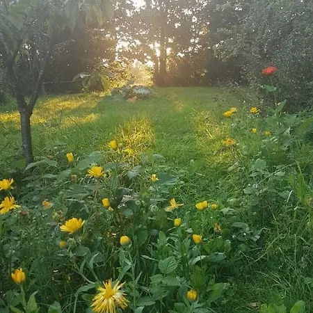 Feriehus Familienhaus Sonne